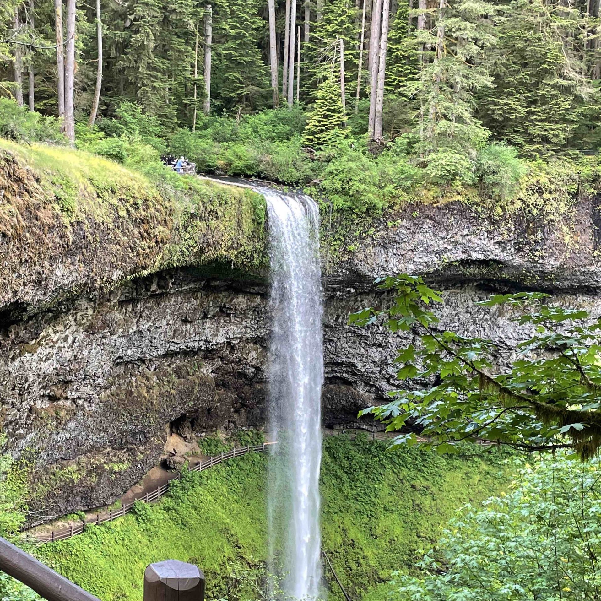 Image of a waterfall with greenery