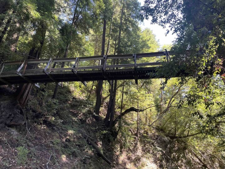 Bridge over a ravine lined with trees