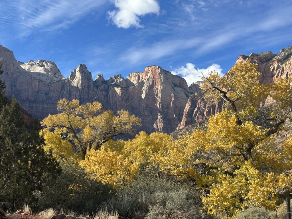 Beautiful view from the valley in Zion National Park
