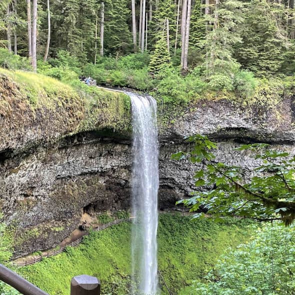 Image of a waterfall with greenery